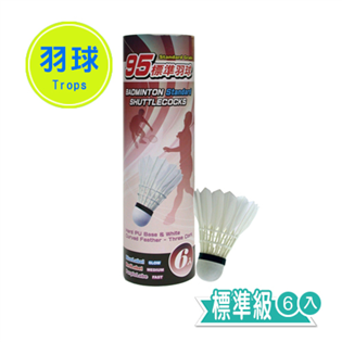 【成功】紅標初階羽球 (6入) #45095
