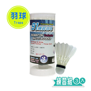 【成功】藍標入門羽球 (3入) #45091A