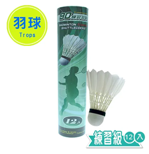 【成功】綠標練習羽球 (12入) #45090A