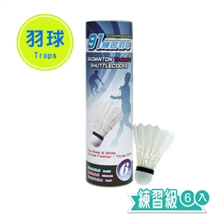 【成功】藍標入門羽球 (6入) #45091